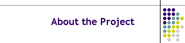 About the Project